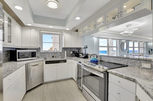 kitchen with appliances with stainless steel finishes, a tray ceiling, white cabinets, and a healthy amount of sunlight