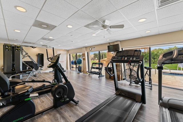 workout area with hardwood / wood-style floors, a paneled ceiling, and a healthy amount of sunlight