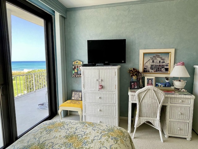 bedroom featuring multiple windows, access to exterior, and ornamental molding