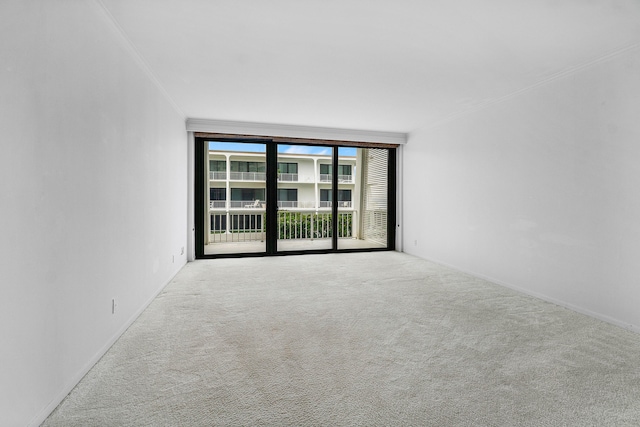 spare room featuring ornamental molding, light carpet, and a wall of windows