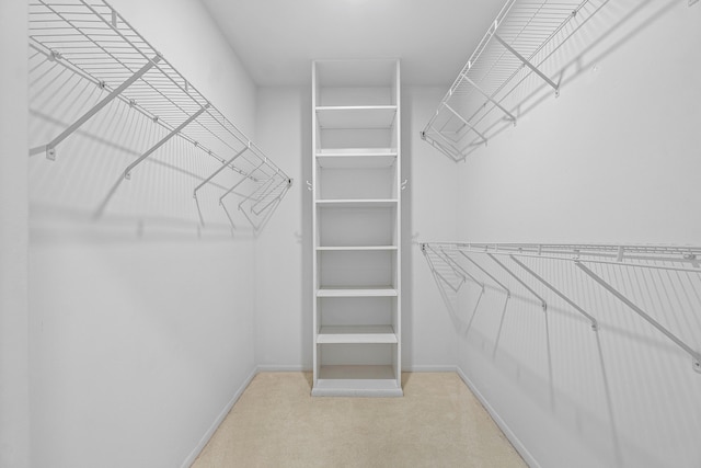 spacious closet featuring carpet floors