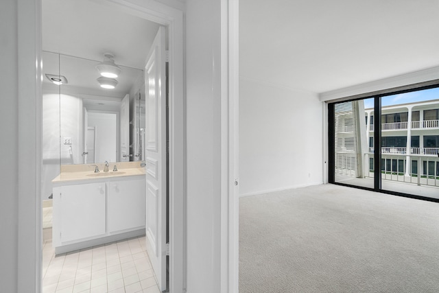 bathroom with expansive windows and vanity