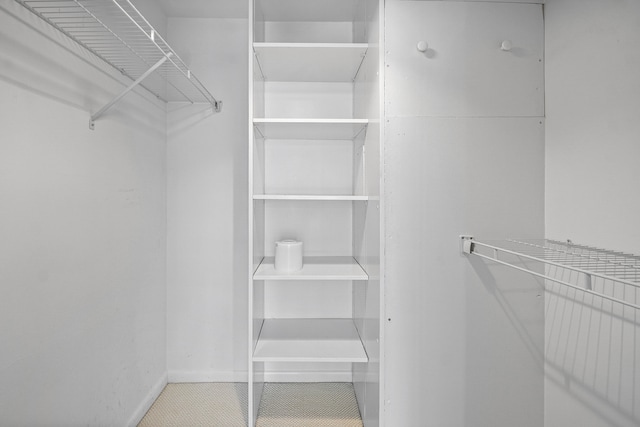 view of spacious closet