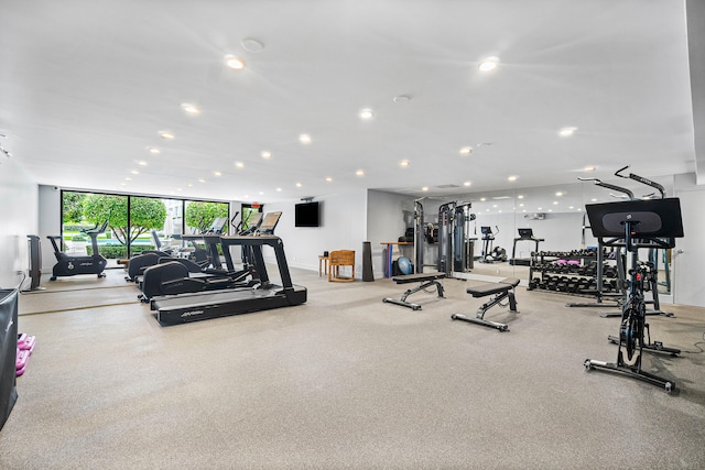 workout area with a wall of windows