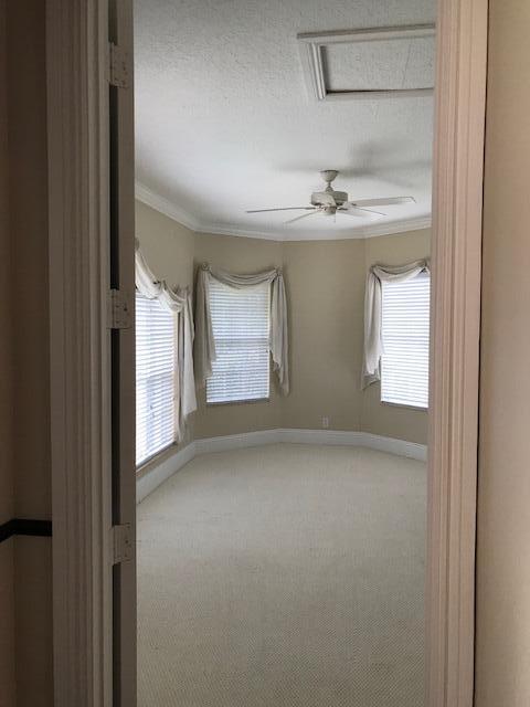 spare room featuring ceiling fan, carpet floors, and a textured ceiling