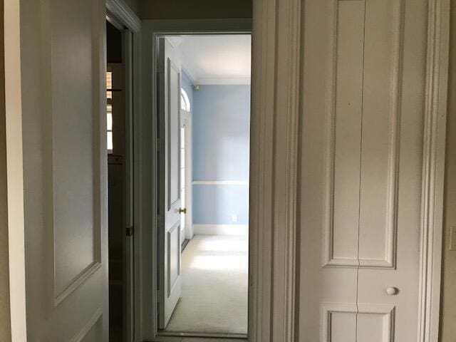 hallway featuring carpet and ornamental molding