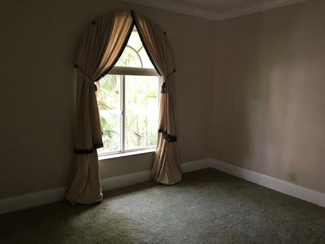 unfurnished room featuring carpet floors and crown molding