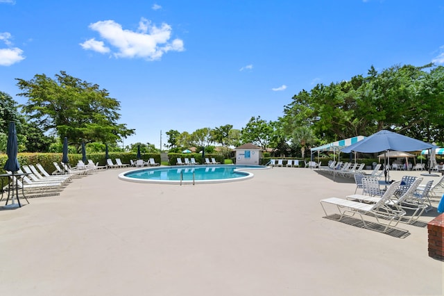 view of pool with a patio