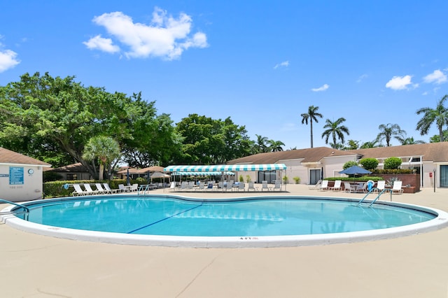 view of pool featuring a patio