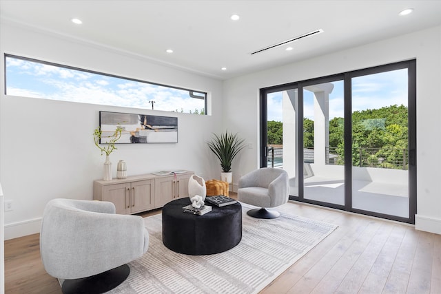 living area with light wood-type flooring and a wealth of natural light