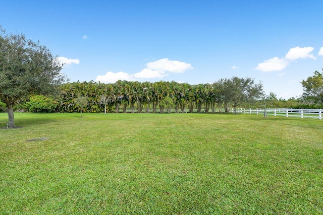 view of yard with a rural view