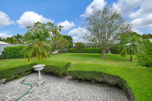 view of yard with a patio area