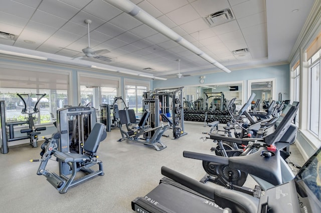 workout area featuring a wealth of natural light, ceiling fan, and a paneled ceiling