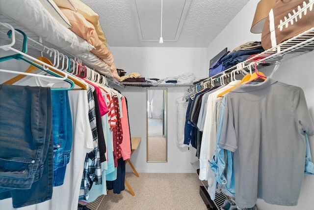 spacious closet with carpet floors