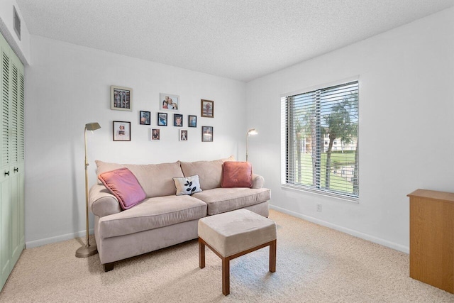 living room with carpet and a textured ceiling