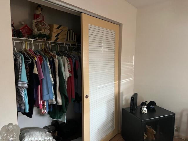 view of closet