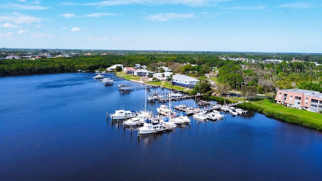 drone / aerial view featuring a water view