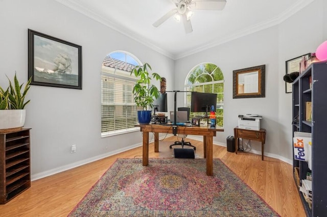 office featuring light hardwood / wood-style flooring, crown molding, and ceiling fan