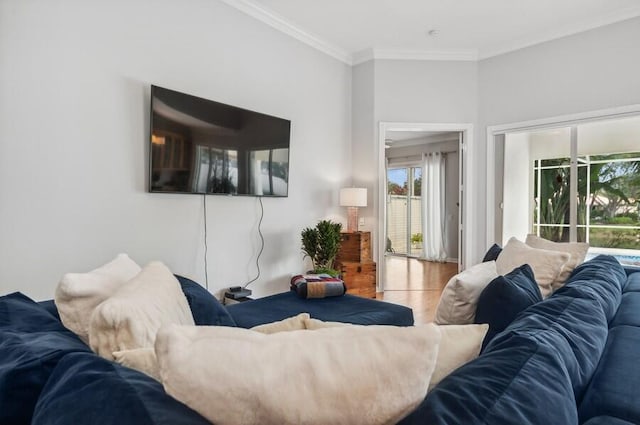 living room featuring crown molding and light hardwood / wood-style floors