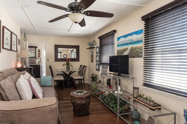 living room with dark hardwood / wood-style flooring, ceiling fan, and a wealth of natural light