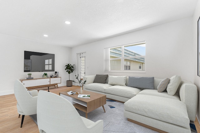 living room with light hardwood / wood-style flooring