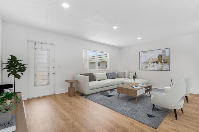 living room featuring light hardwood / wood-style flooring