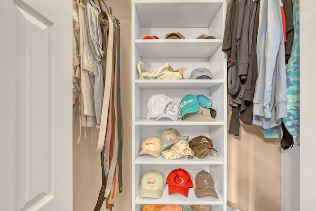 view of walk in closet