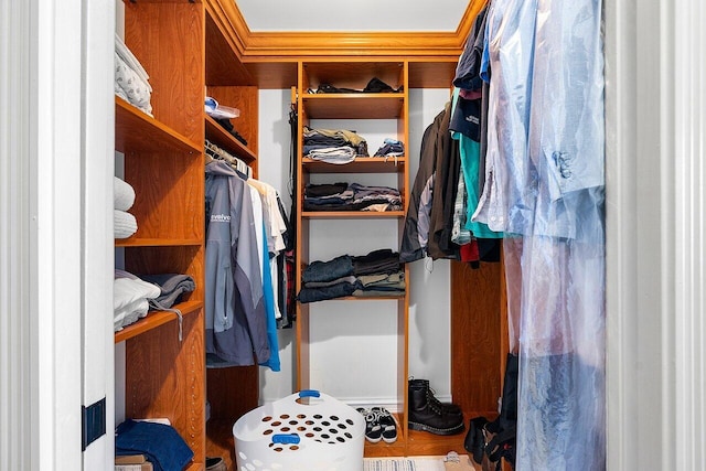 walk in closet featuring hardwood / wood-style flooring