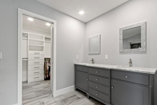 bathroom with vanity and wood-type flooring