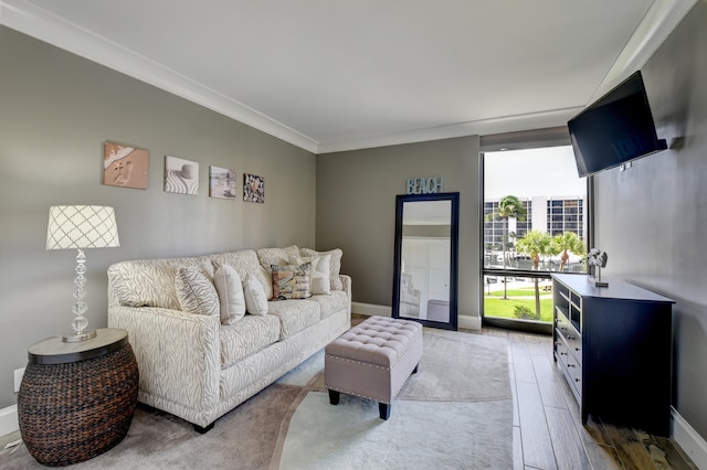 living room with hardwood / wood-style floors and ornamental molding