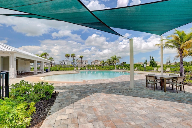 view of pool with a patio area