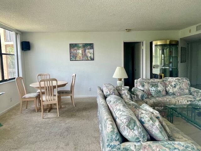 carpeted living room with a textured ceiling