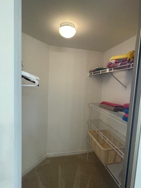 spacious closet with carpet flooring