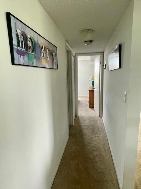 corridor featuring a textured ceiling and carpet floors