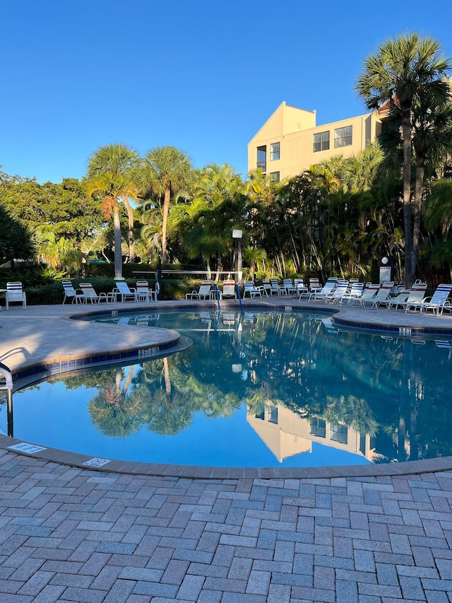 view of swimming pool