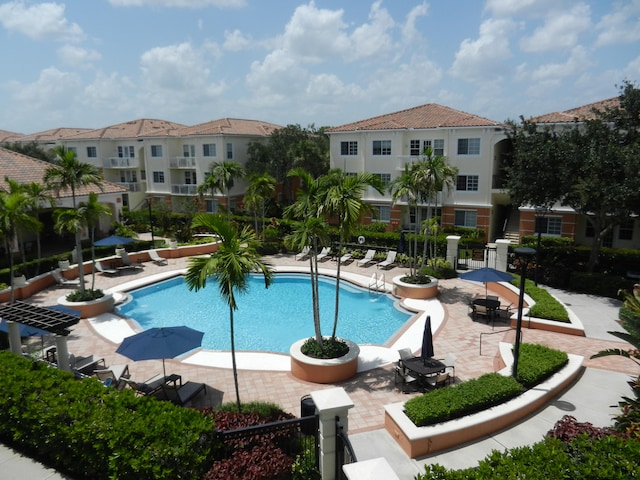 view of swimming pool with a patio