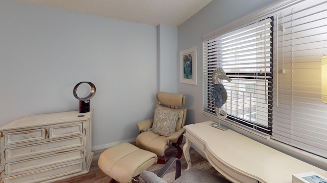 sitting room featuring light hardwood / wood-style flooring