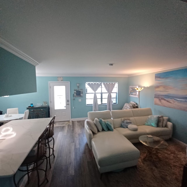 living room with crown molding and dark hardwood / wood-style floors