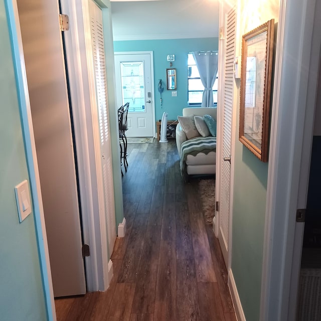 hall featuring dark wood-type flooring and crown molding