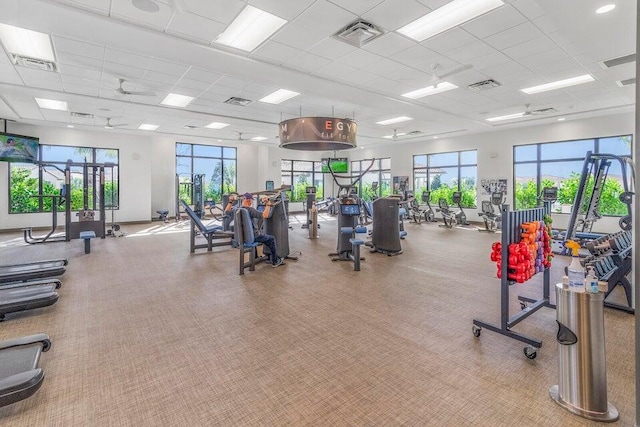 gym featuring a paneled ceiling, plenty of natural light, and visible vents