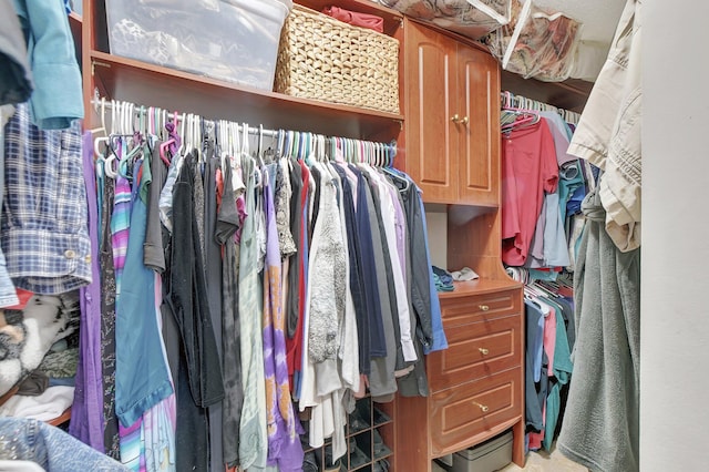 view of spacious closet