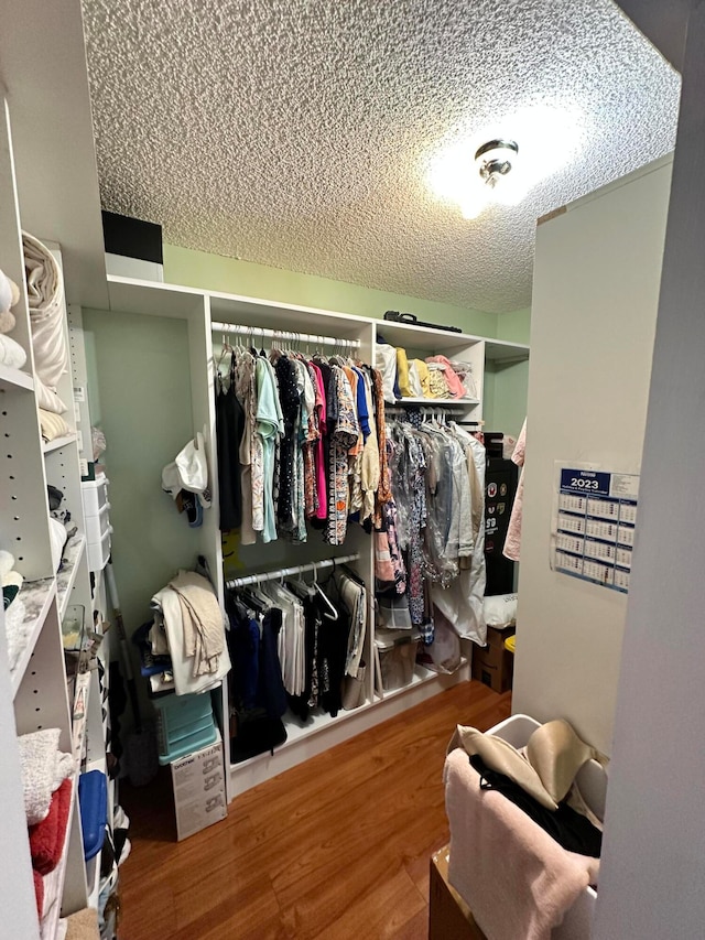 spacious closet with hardwood / wood-style flooring