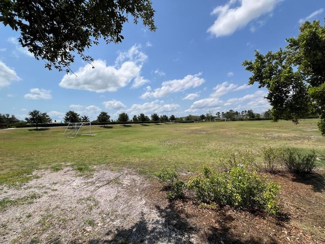 view of yard with a rural view