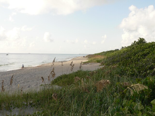 view of water feature with a beach view