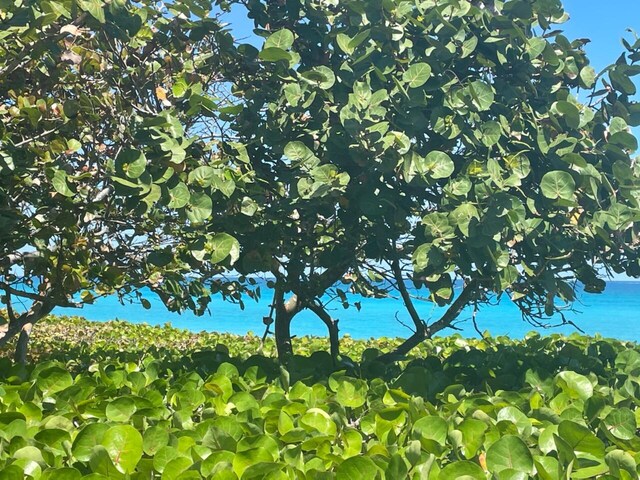 view of nature with a water view