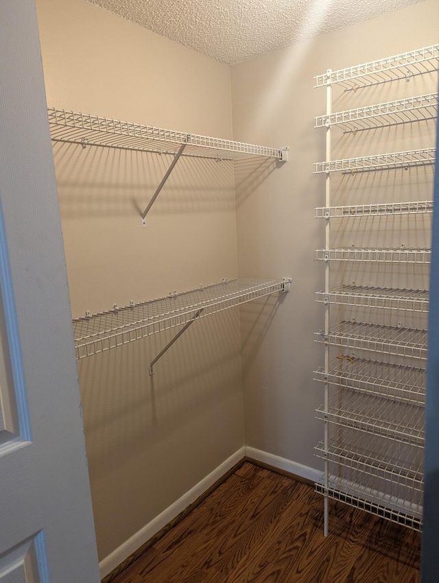 spacious closet with hardwood / wood-style floors