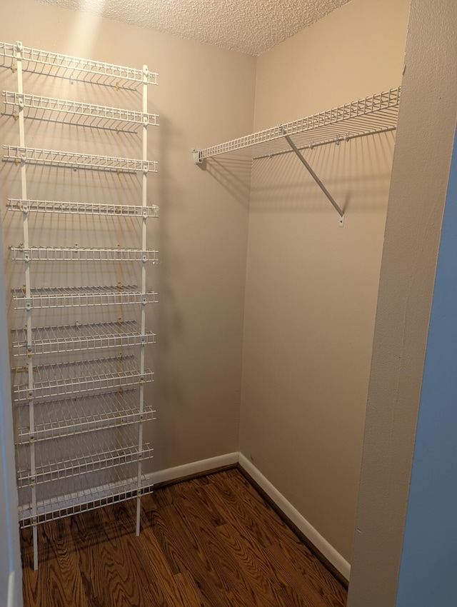 spacious closet with dark hardwood / wood-style flooring