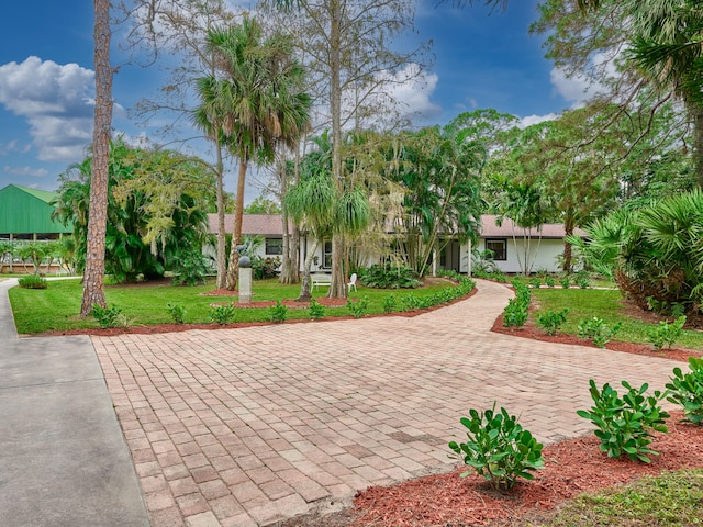 view of home's community featuring a yard