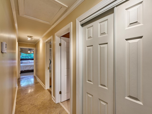 18238 128th Trl N, Jupiter, FL 33478 - hallway featuring ornamental molding and baseboards