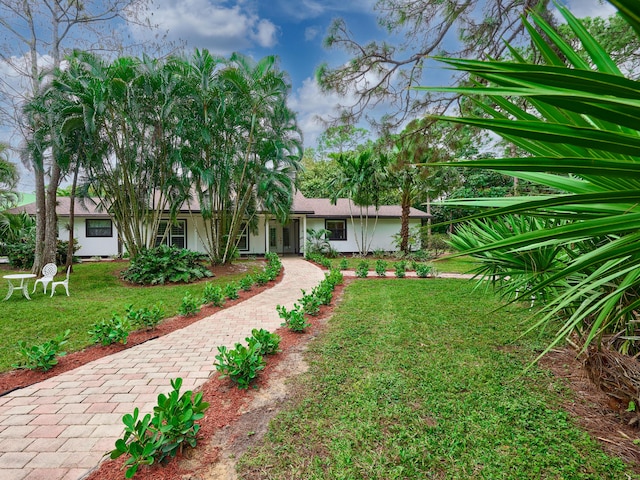18238 128th Trl N, Jupiter, FL 33478 - view of front of house with a front lawn and stucco siding